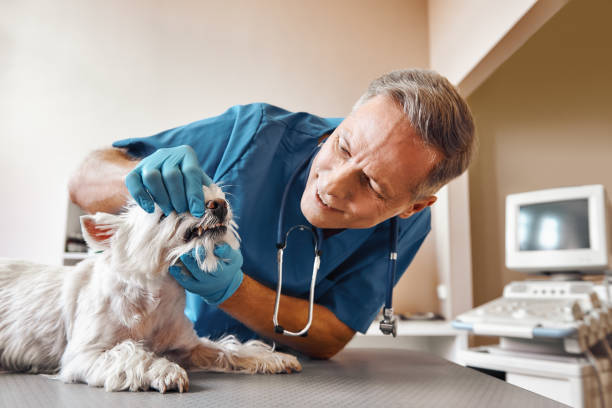 Best Emergency Root Canal Treatment in Walnut Creek, OH