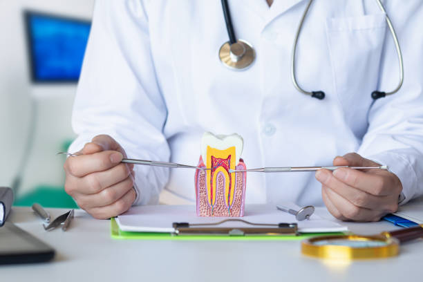 Best Same-Day Emergency Dentist in Walnut Creek, OH